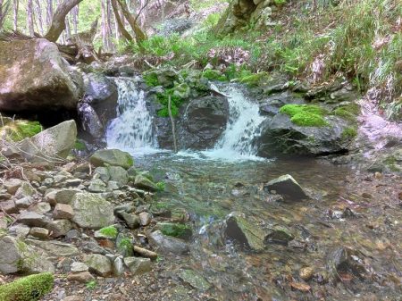 ＧＷ終盤の渓流で苦戦 ～長良川水系～